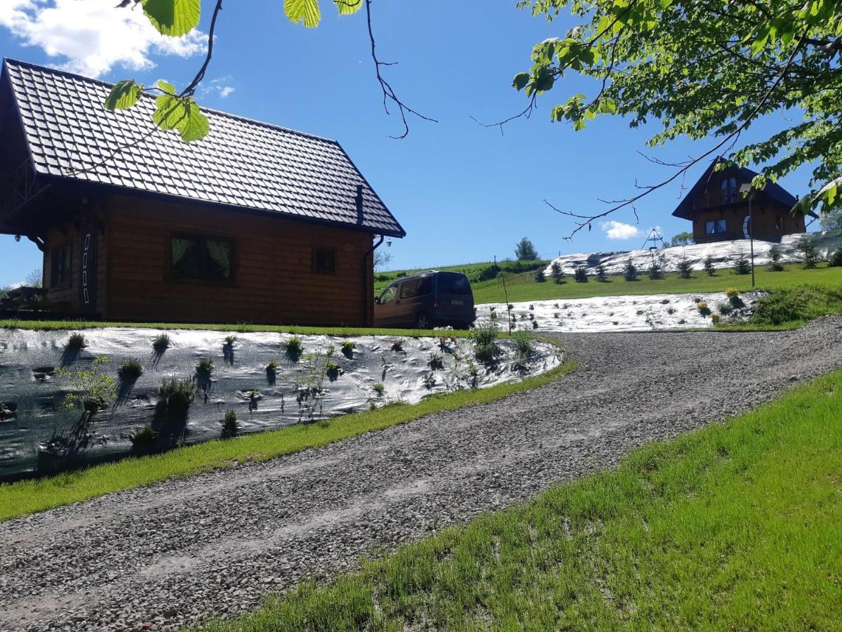Domek Na Wzgorzu "Wilk" Swiatkowa Mala Exteriér fotografie