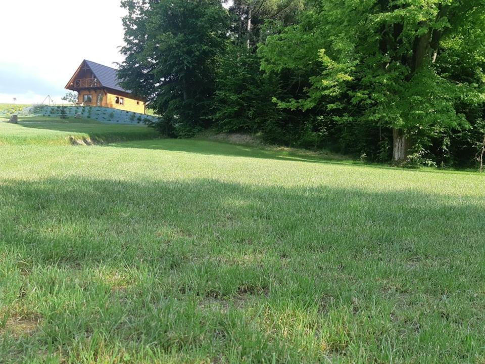 Domek Na Wzgorzu "Wilk" Swiatkowa Mala Exteriér fotografie