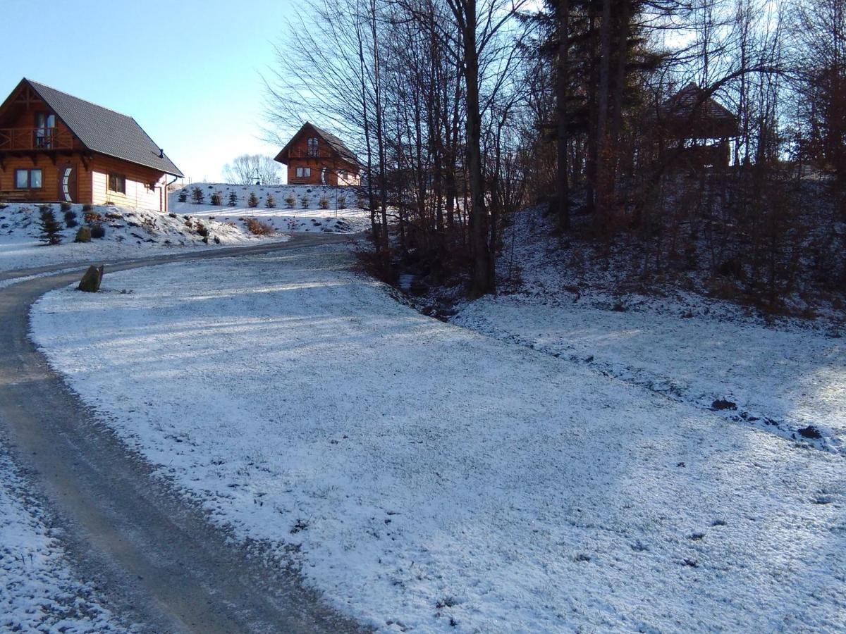 Domek Na Wzgorzu "Wilk" Swiatkowa Mala Exteriér fotografie